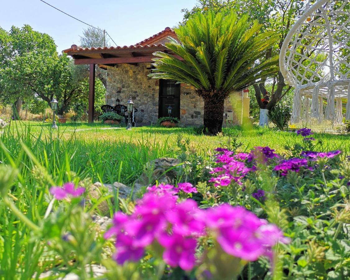 Patras Stonehouse With Large Yard - Πέτρινο Σπίτι Με Αυλή Paralía Exterior foto